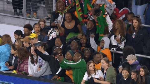 Zambia Fans Cheering Having Fun GIF