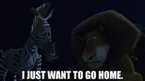 Zebra and Bear Saying I Just Want to Go Home