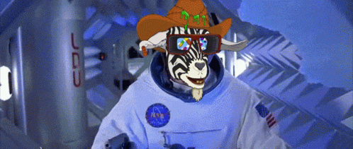 Zebra In Cowboy Hat And Sunglasses GIF