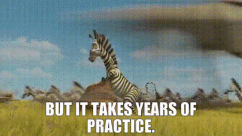 Zebra In The Jungle Practice Running GIF