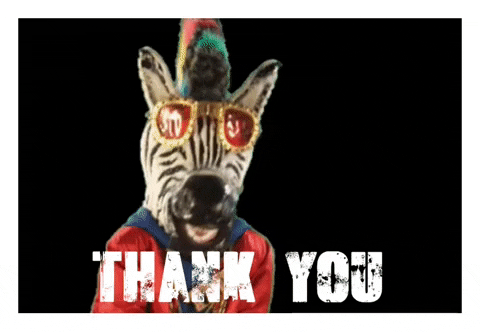 Zebra Mascot Thumbs Up Thank You GIF