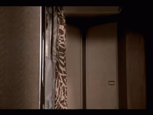 Zebra Print Shower Curtain on Shower Head