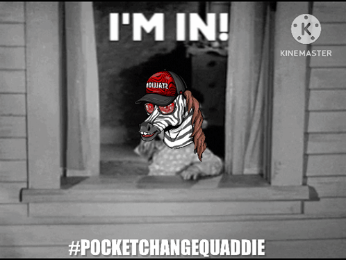 Zebra Wearing Red Hat Saying Im In