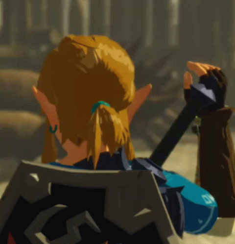Zelda Bot W Link Embarrassed Hyrule Warriors Age Of Calamity GIF