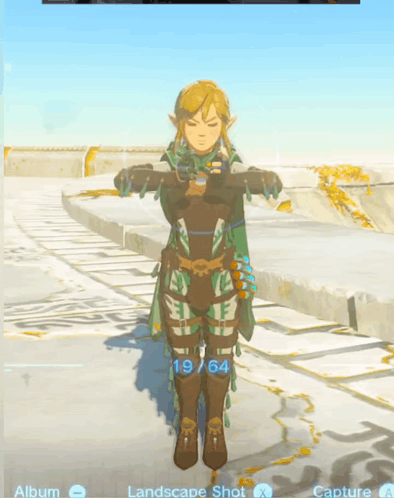 Zelda Link Dab Hands GIF