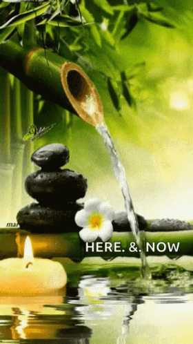 Zen Bamboo Water Relaxing Meditation GIF