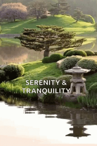 Zen Serenity Terrazo Japanese Garden GIF
