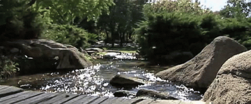 Zen Relaxing Waterfall Garden GIF