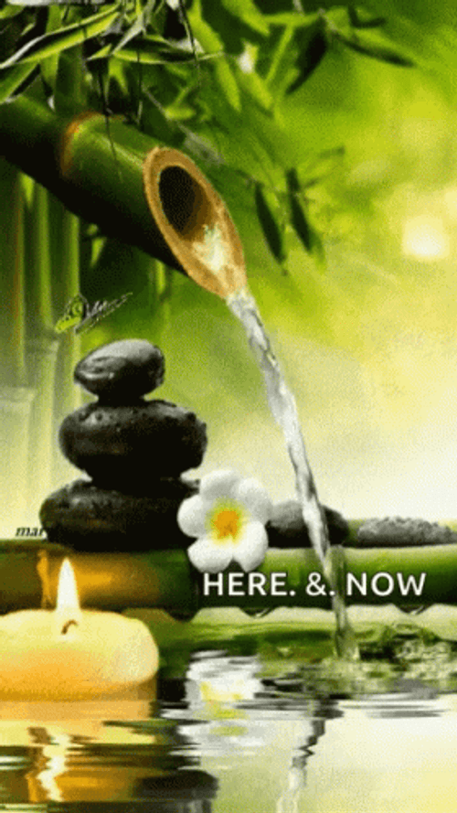 Zen Bamboo Water Relaxing Meditation GIF