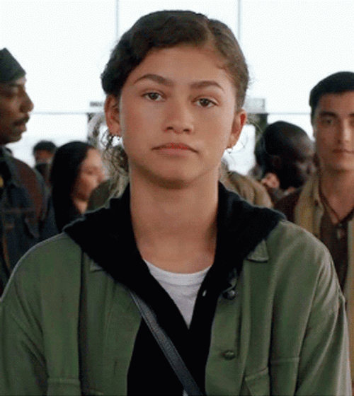 Zendaya Sarcasm Smile  GIF