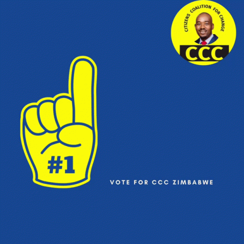 Zimbabwe Citizens Coalition For Change GIF