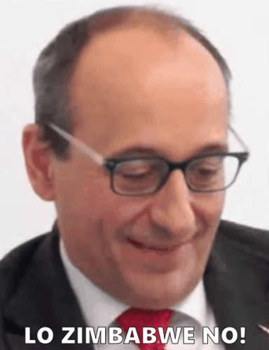 Zimbabwe No Alberto Bagnai GIF
