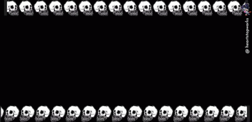 Zingo Word on Black Skull Background