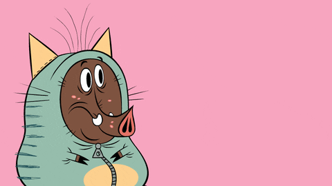 Zip Zip Pig Are You Sure GIF