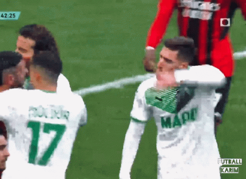 Zlatan Fight Ibra Fight GIF