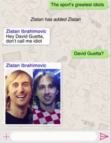 Zlatan Ibrahimovic David Guetta Conversation GIF