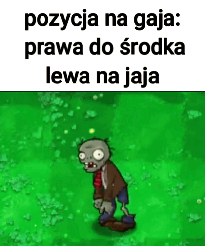 Zombie Pozycja Na Gaja Prawa Do Środka Lewana Jaja
