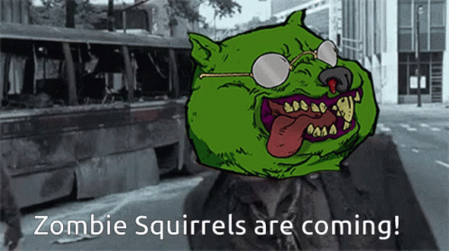 Zombie Squirrels Are Coming GIF