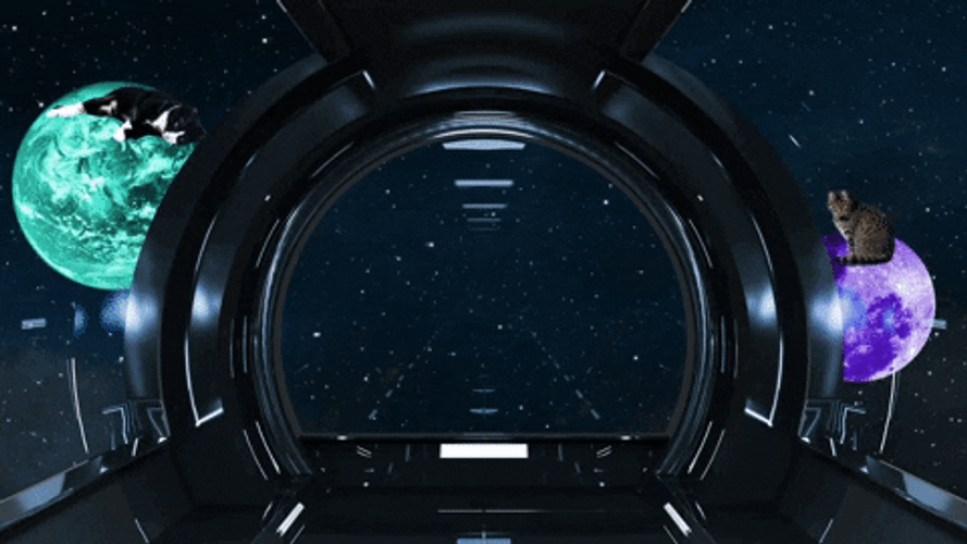 Zoom Background Outer Space GIF