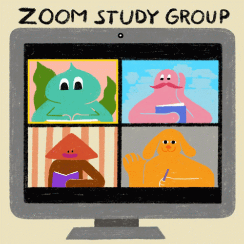 Zoom Virtual Study Group GIF