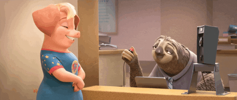 Zootopia Sloth Taking Pictures GIF