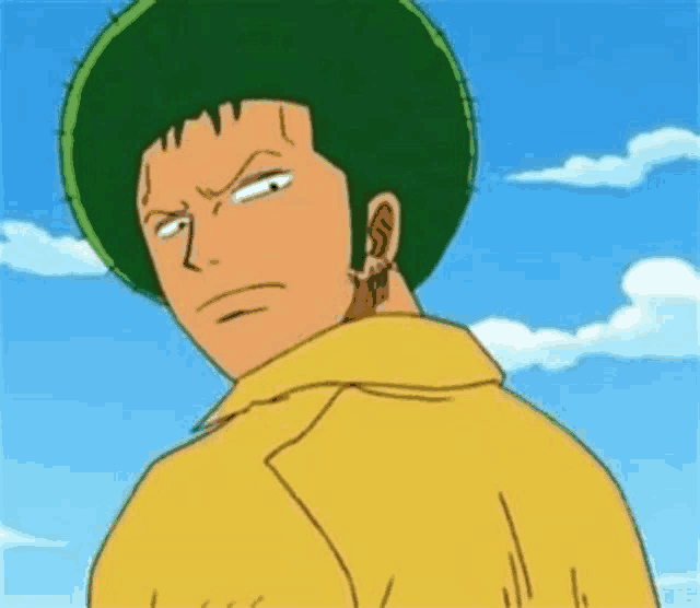 Zoro One Piece Zoro Marimo Meme GIF