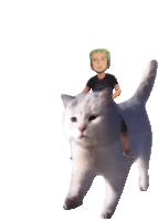 Zoro One Sticker GIF