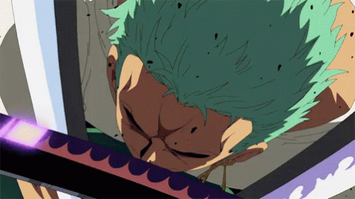 Zoro Samurai Sword Smile GIF