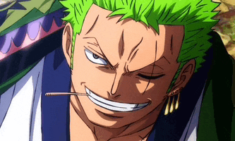 Zoro Ubejd Meme GIF