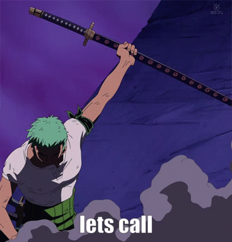 Zoro Vs King Lets Call GIF