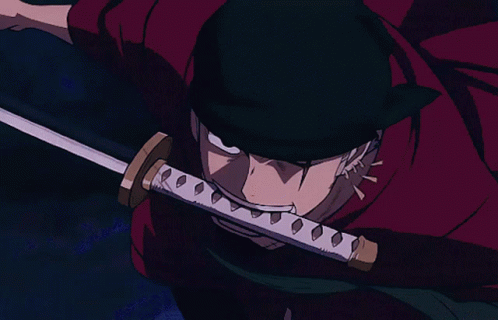 Zoro Vs King Master Swordsman GIF