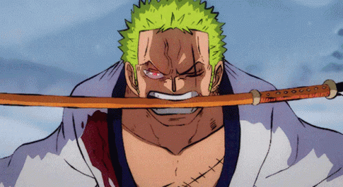 Zoro Vs King Monkey The Pirate King Son GIF
