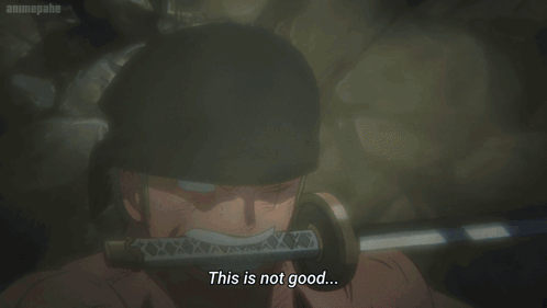 Zoro Vs King This Is Not Good GIF