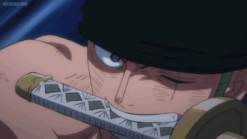 Zoro Vs King What Reaction GIF