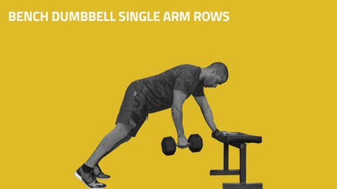 Zottman Curl Bench Dumbbell Single Arm Row GIF