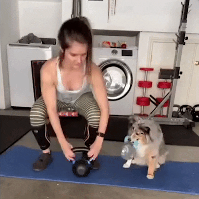 Zottman Curl Dog Human Tandem Exercise GIF