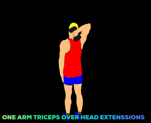 Zottman Curl Dumbbell Triceps Extension Animation GIF