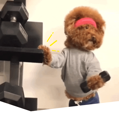 Zottman Curl Poodle Dumbbell Exercise GIF