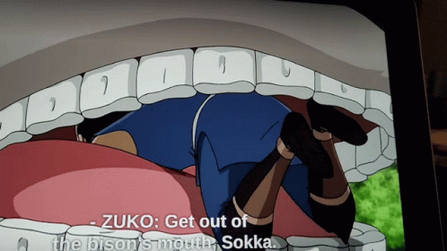 Zuko Get Out Of The Bison 'S Mouth Sokka Says In A Cartoon GIF