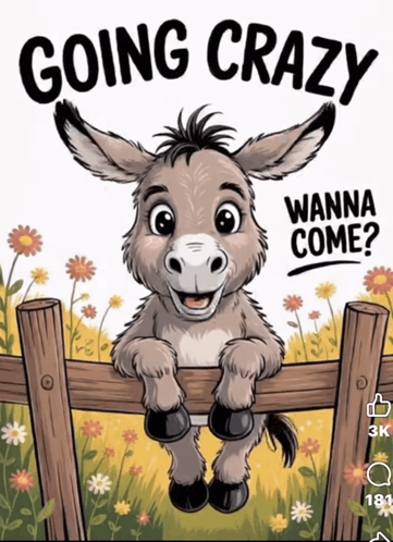 Coffee Saturday Meme