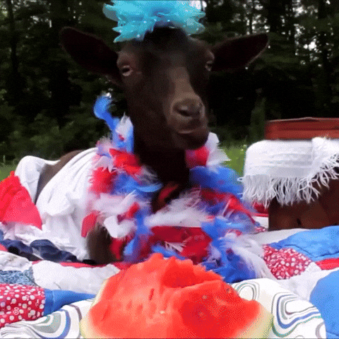 Funny Goat Celebrating 4th Of July