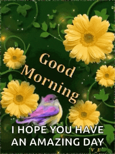 Good Morning Gif
