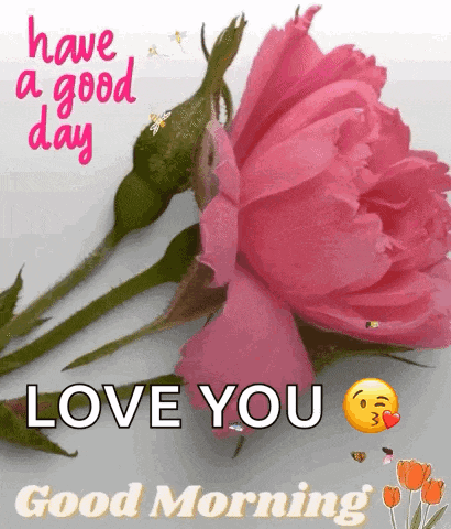 Good Morning Images New 2023 Gif