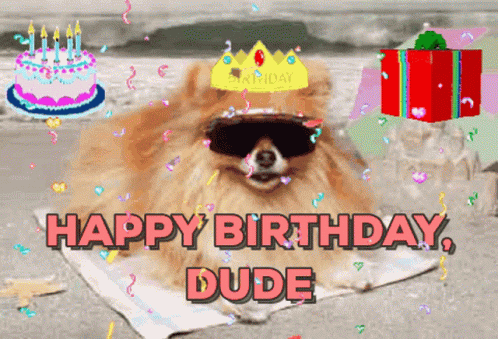 Happy 4th Of July Birthday Dude