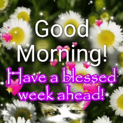 Ianicorngif Good Morning Gif