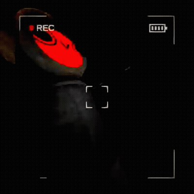 0.0 GIF