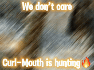 100% No Sign On Blue Green Background GIF