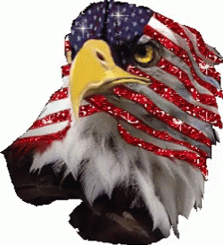 1776 American Flag On Eagle's Face GIF