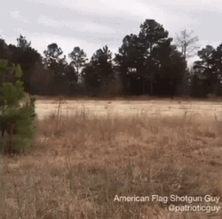 1776 American Flag Shotgun Guy GIF