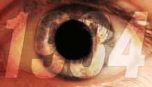 1984 Eye Ball GIF